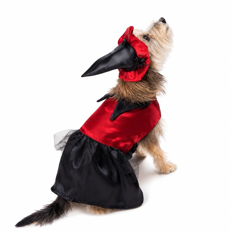 Disfraz Bruja Perro Halloween Talla 6 Mascota P... image number null