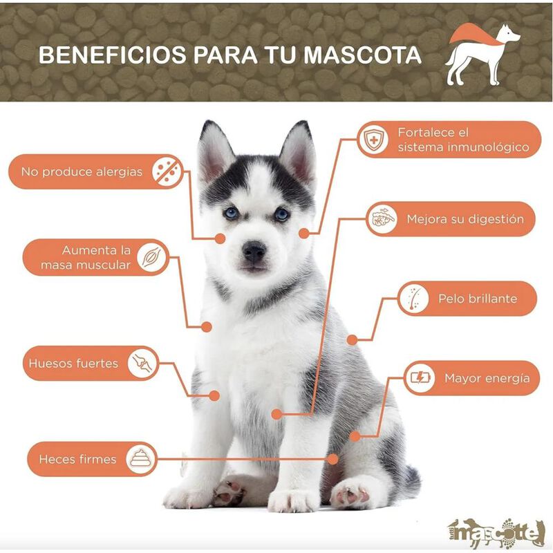 Iron Dog Super Premium Adulto 20 Kg Original Se... image number null