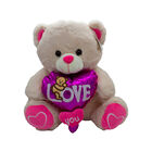 Oso De Peluche Con Globo De Coraz&oacute;n Regalo San Valentin