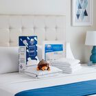 Almohada Cozy + Protector Essence Individual + Oso Peluche