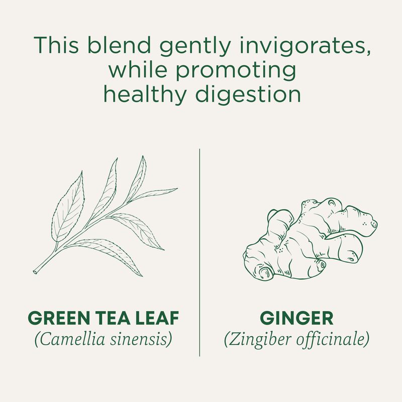 Tea Traditional Medicinals T&eacute; Verde Org&aacute;nico Co... image number null