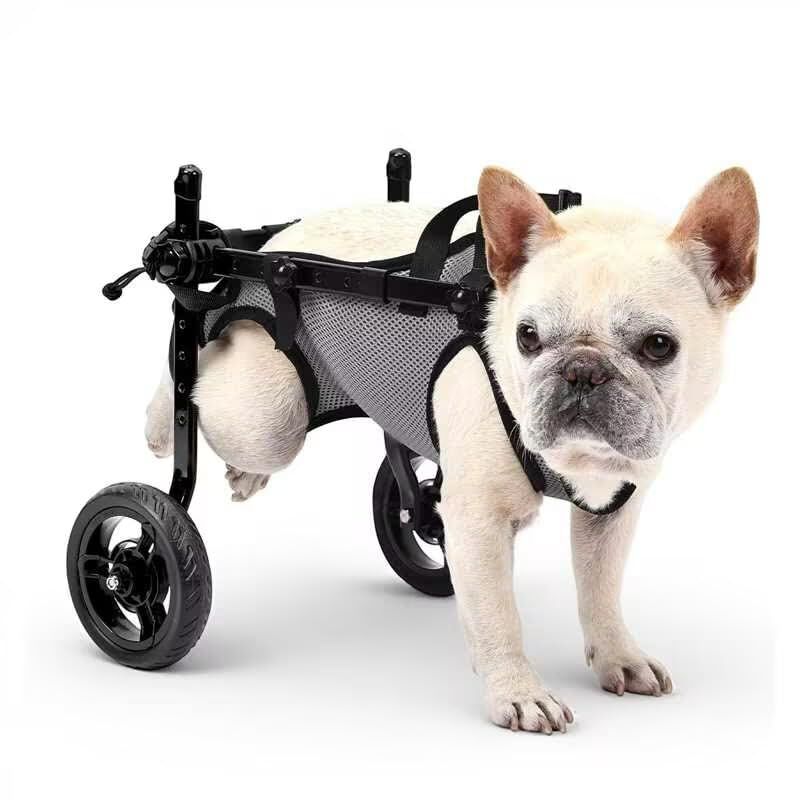 Silla De Ruedas Para Perro Becrowm Ajustable image number null