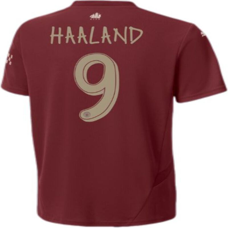 Increible! Jersey Playera Earling Haaland 9 Edi... image number null