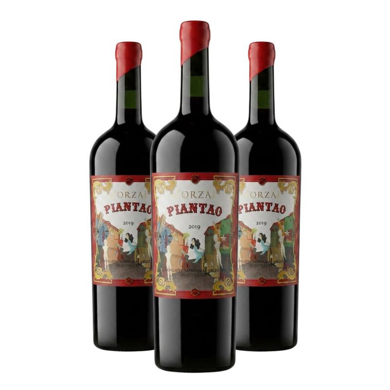 Vino Tino Zorzal Piantao Cabernet Franc De Mend... image number null