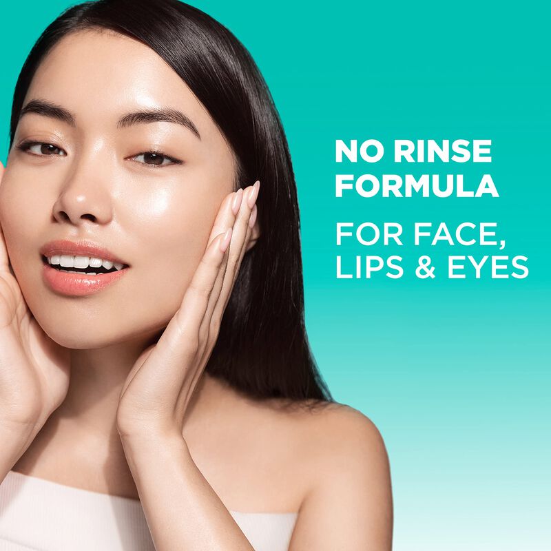 Limpiador Facial Y Desmaquillante Garnier Micel... image number null