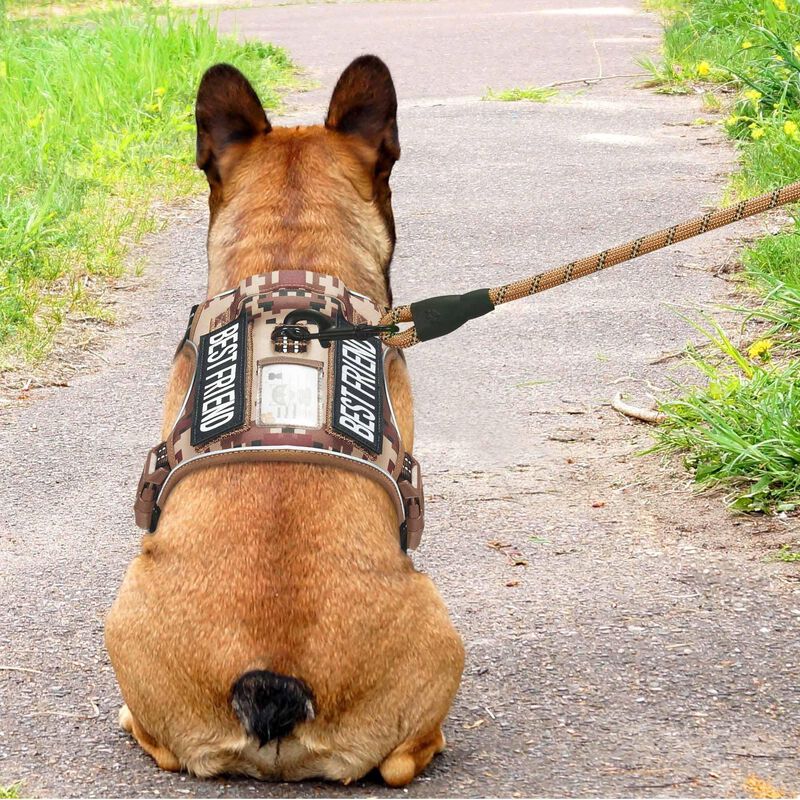 Arn&eacute;s T&aacute;ctico Para Perro Beebiepet Mediano En C... image number null