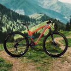 Bici Expert Dh R29 Naranja