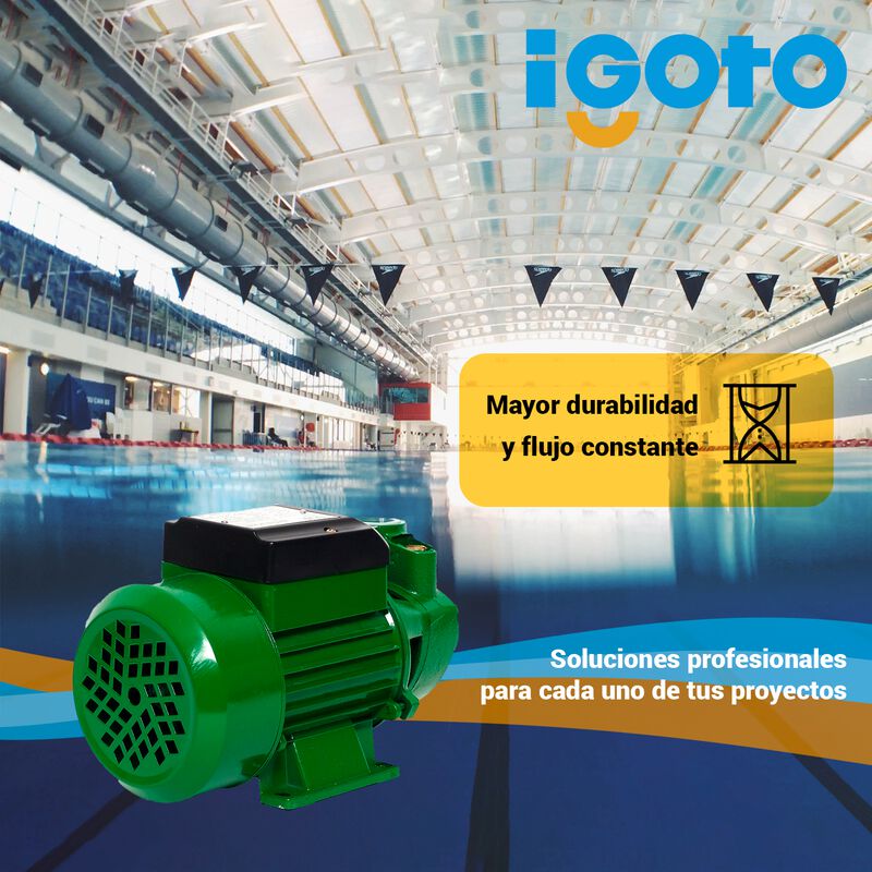 Bomba Periferica 1/2 Hp, 370 W Igoto Pe-60 image number null