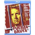 Fuerza Bruta (blu-ray)