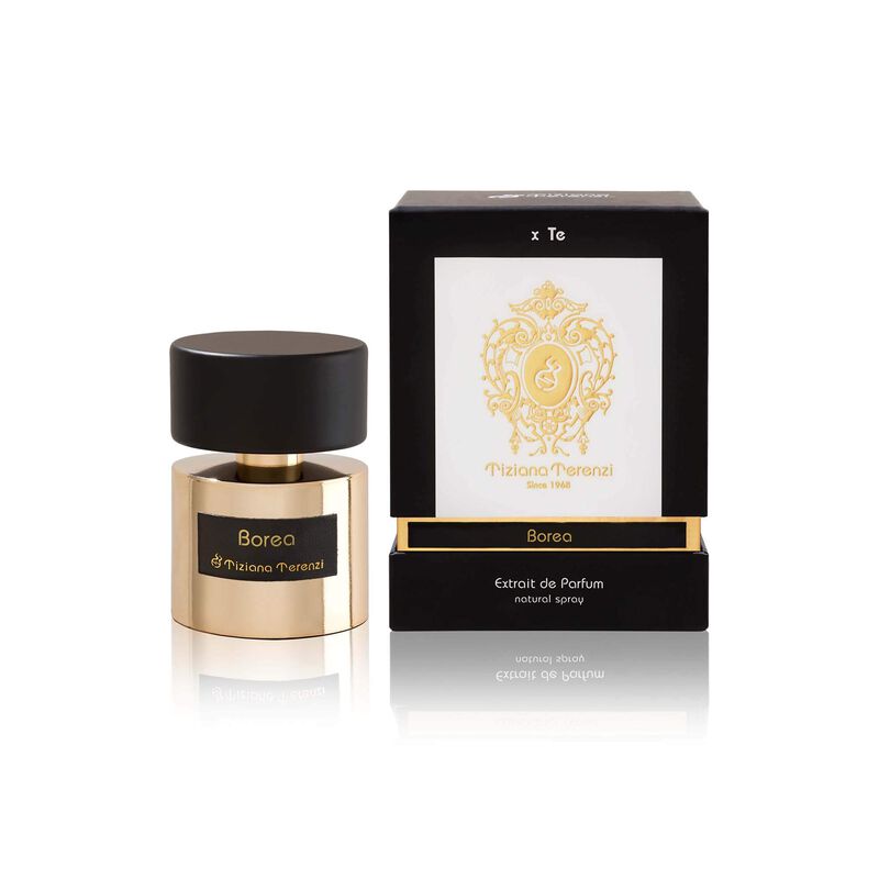 Perfume Tiziana Terenzi Borea Edp 100 Ml Para H... image number null