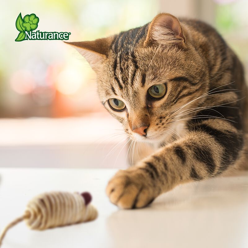 Naturance Ecoplay Juguete Ratón Para Gato Con 2... image number null