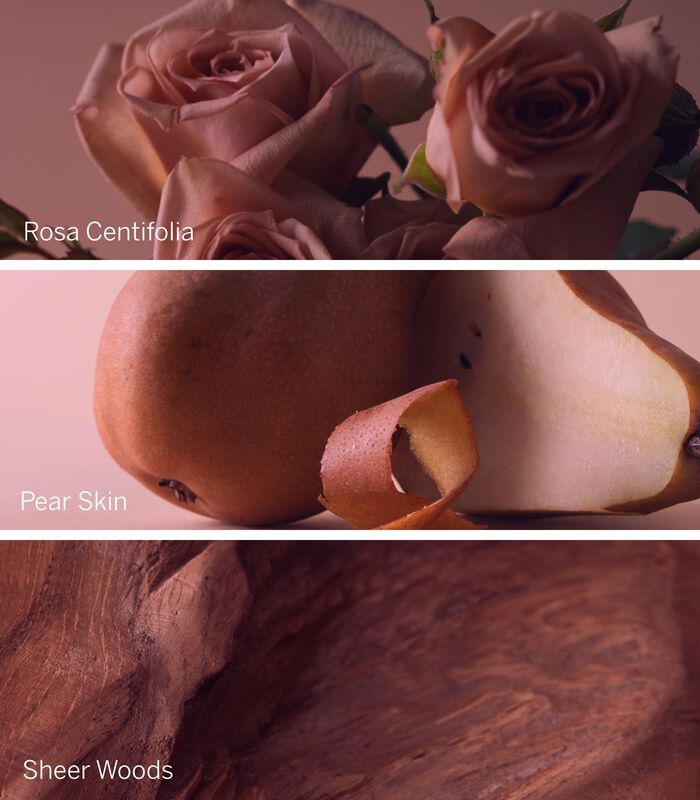 Perfume Victoria's Secret Bare Rose Eau De Parf... image number null
