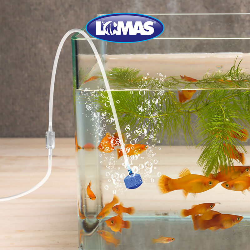 Lomas V&aacute;lvula Check Bolsa de 100 Piezas image number null