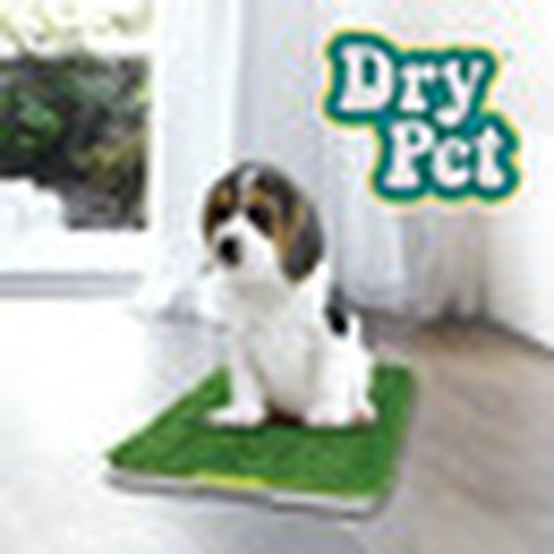 Dry Pet Doggie Grass Tapete Entrenador para Per... image number null