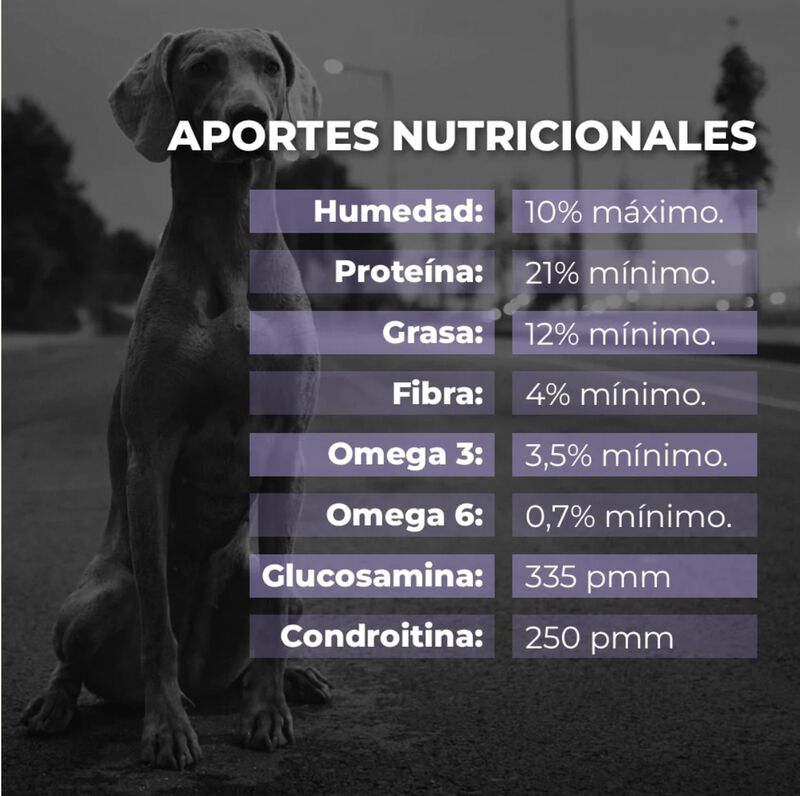 Proseries Holistic - Alimentos Para Perros Con ... image number null