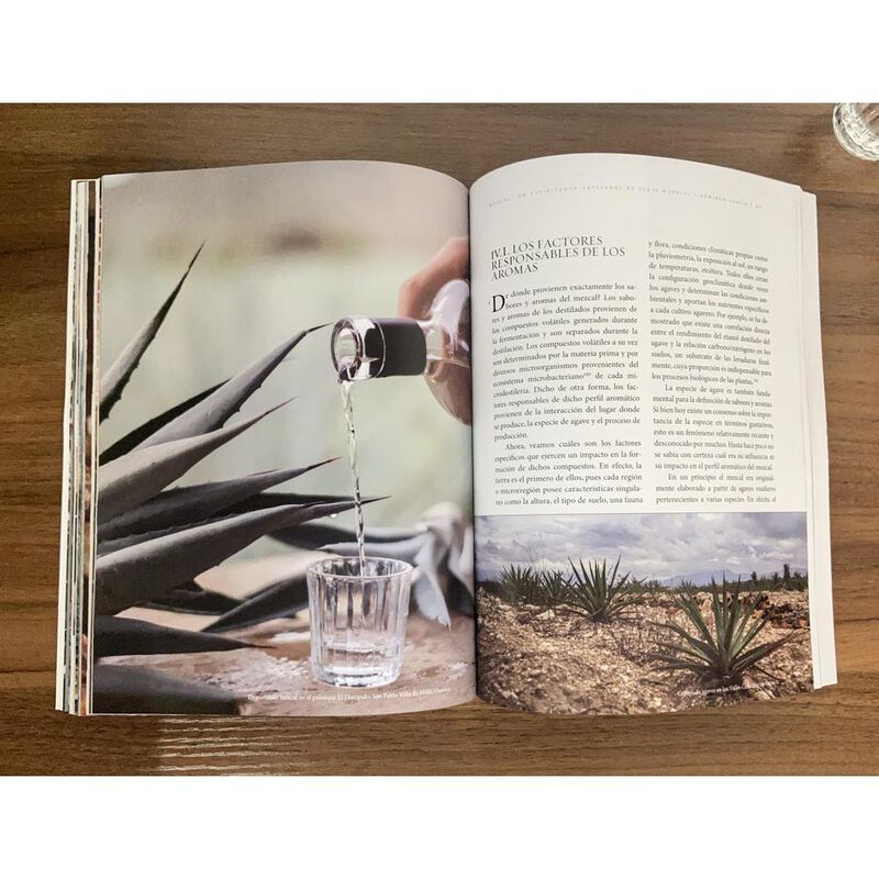 Mezcal. Un espirituoso artesanal de clase mundi... image number null