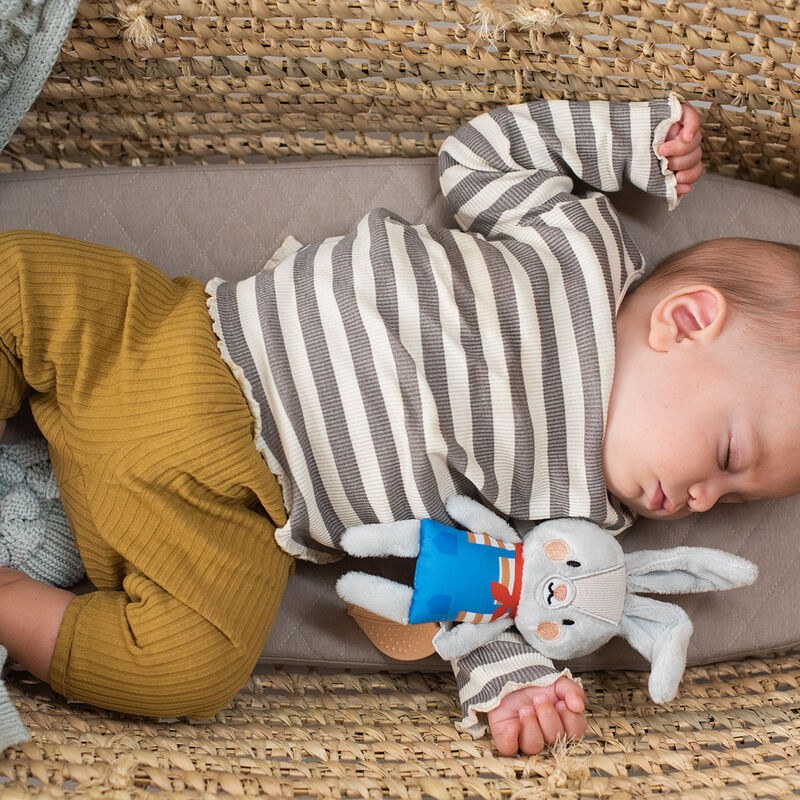 Rylee El Conejo image number null