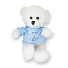 Oso de peluche baby shower revelaci&oacute;n ni&ntilde;o sueter azul