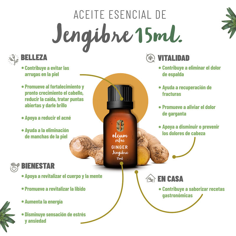 Aceite Esencial Puro Jengibre 15 ml 100% Puro y... image number null