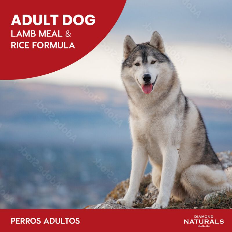 Diamond Care Weight Managment Formula Por Adult... image number null