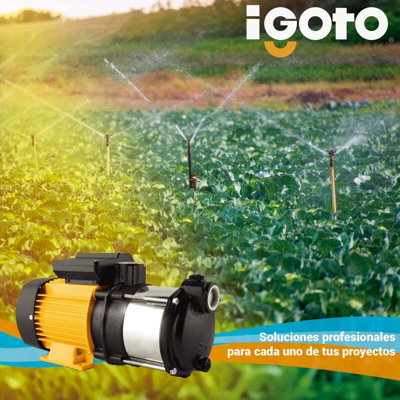 Bomba De Agua Multietapa Horizontal Mh550 Igoto... image number null