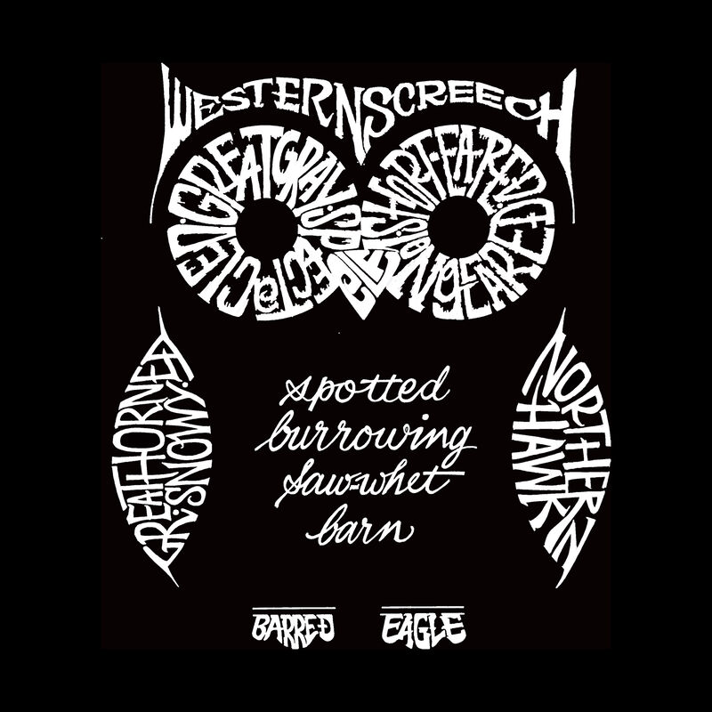 Camiseta Word Art Para Ni&ntilde;o - B&uacute;ho - Granate image number null