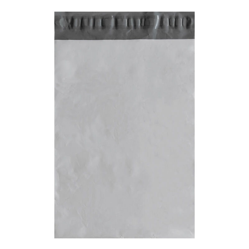 Bolsa Blanca para Envi&oacute;s Premium 19x26 image number null