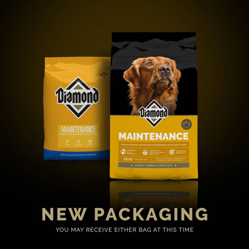 Diamond Naturals Large Breed Puppy Lamb & Rice ... image number null
