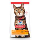 Feline Adult Light +1, 3.2 kg