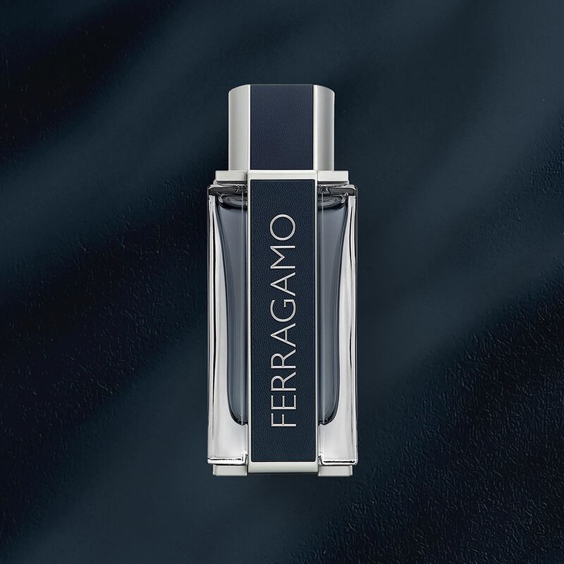 Perfume Ferragamo Eau De Toilette Pour Homme 10... image number null