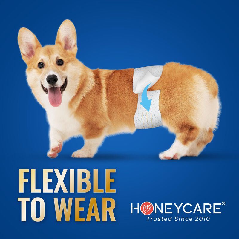 Envoltura Para Perros Machos Honey Care All-abs... image number null