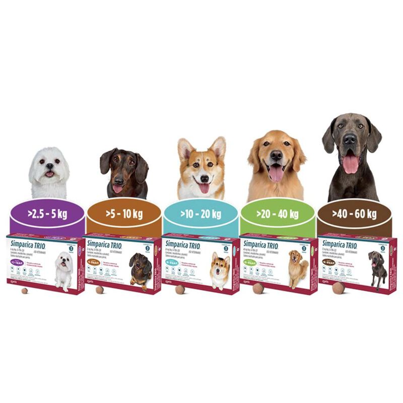 Simparica trio 6 mg 1 x 3 tab (morado) Caja con... image number null