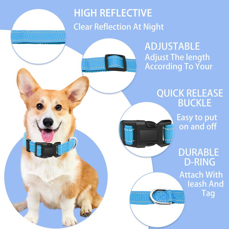 Collar Reflectante Para Perro Maiiu + Juego De ... image number null