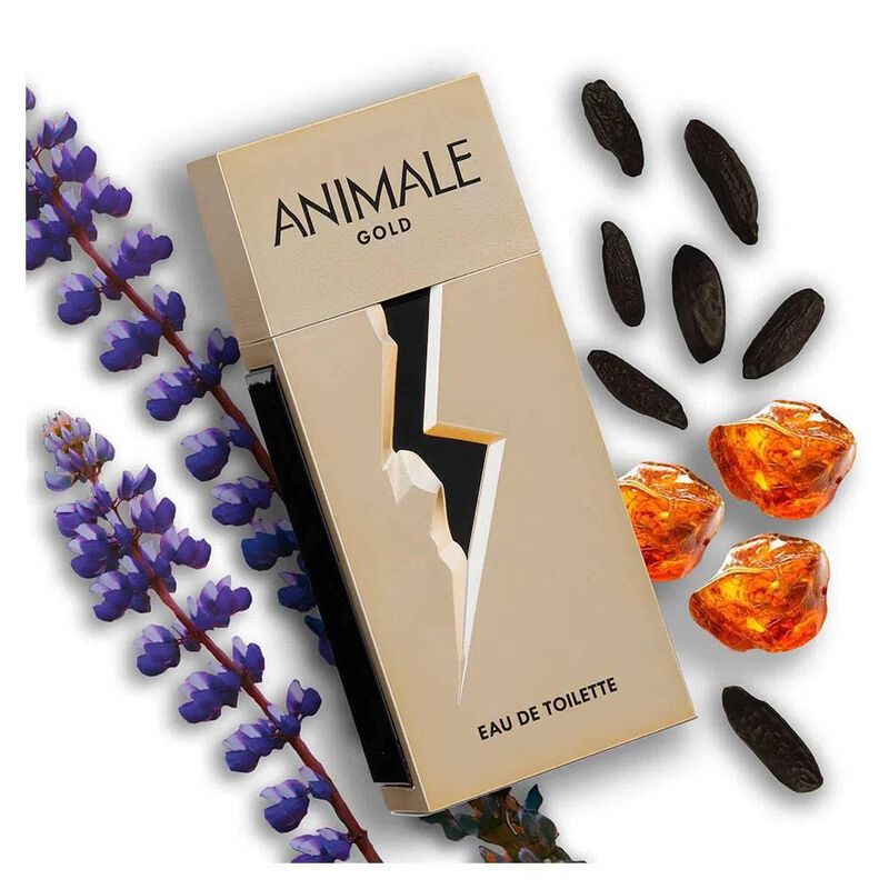 Perfume Animale Eau De Parfum 100 Ml Para Mujer image number null