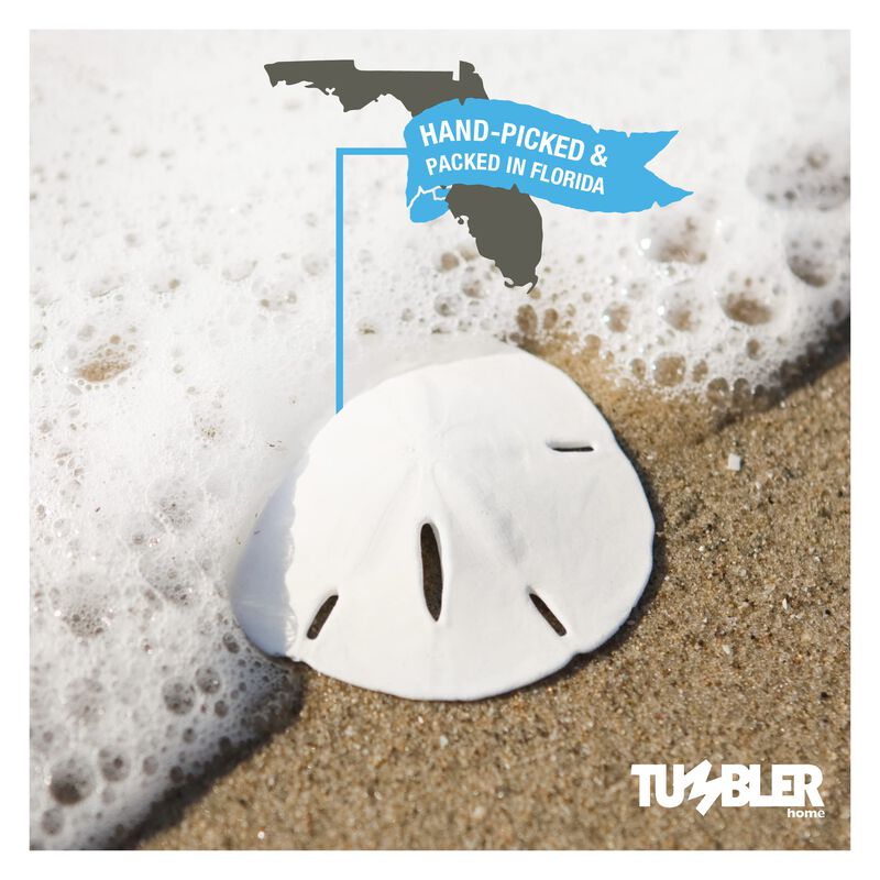 Set De Vasos Sand Dollars Home, Color Blanco, 5... image number null