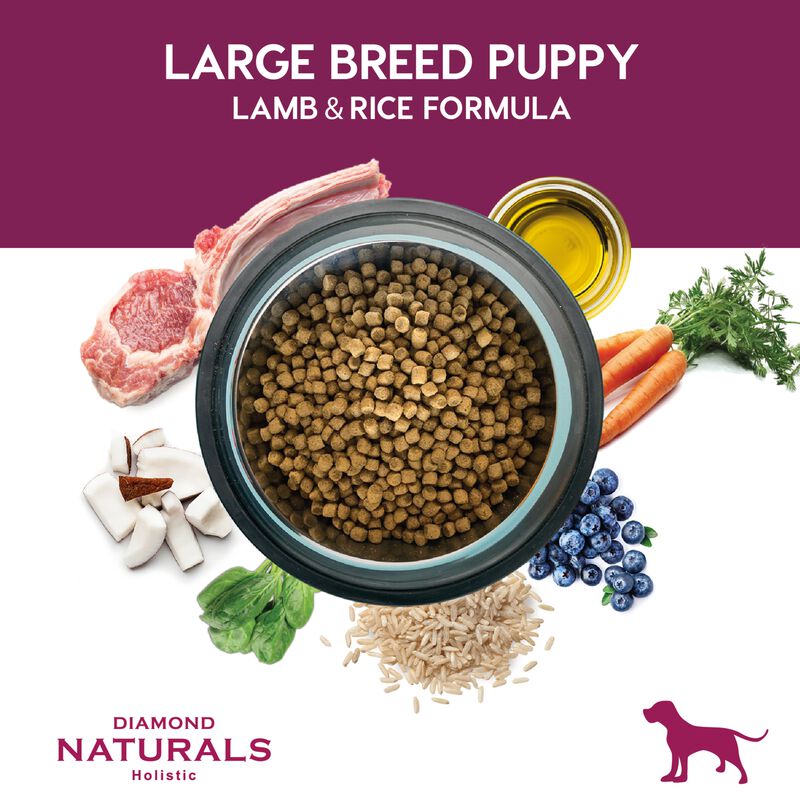 Diamond Naturals Adult Dog Lamb Meal & Rice For... image number null