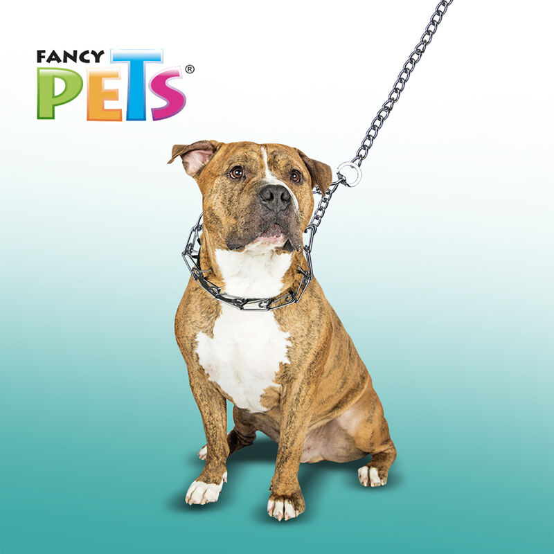 Fancy Pets Collar De Entrenamiento Con Puas (4.... image number null