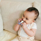 Mm Mordedera Tiburon