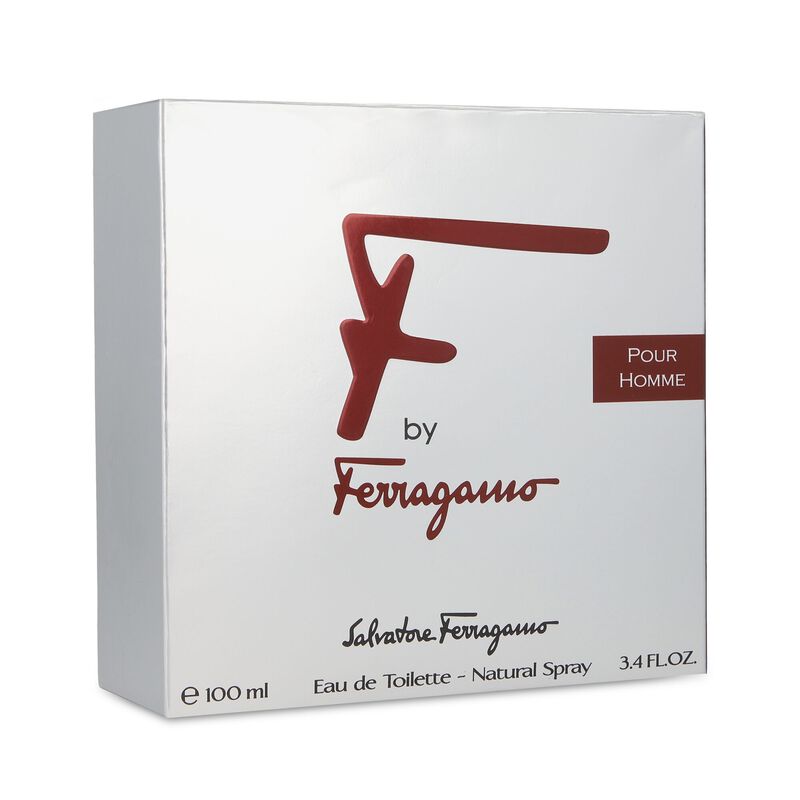 F Ferragamo Pour Homme 100 Ml Edt Spray image number null