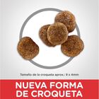 Hill's Canino Adult 2 Kg 4 Unid X Caja