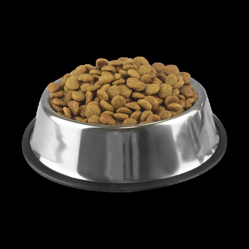 Perfect Sense Alimento Para Perro Cachorro De R... image number null