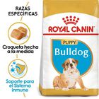 Royal Canin BHN Bulldog Puppy 6 LB 2.72 kg