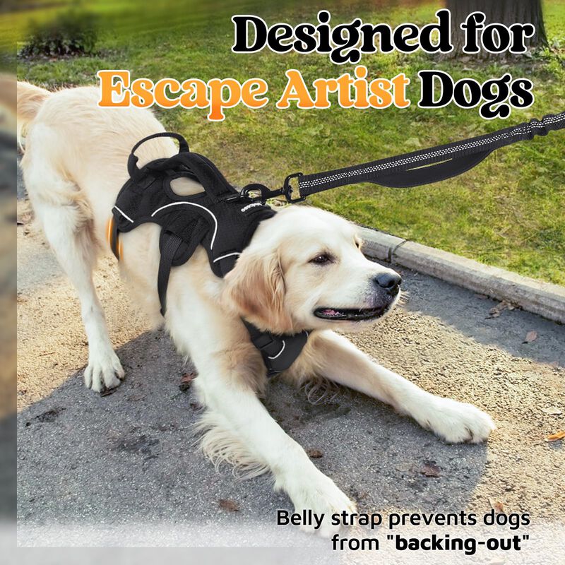 Arn&eacute;s Para Perros Rabbitgoo Escape Proof De Cue... image number null