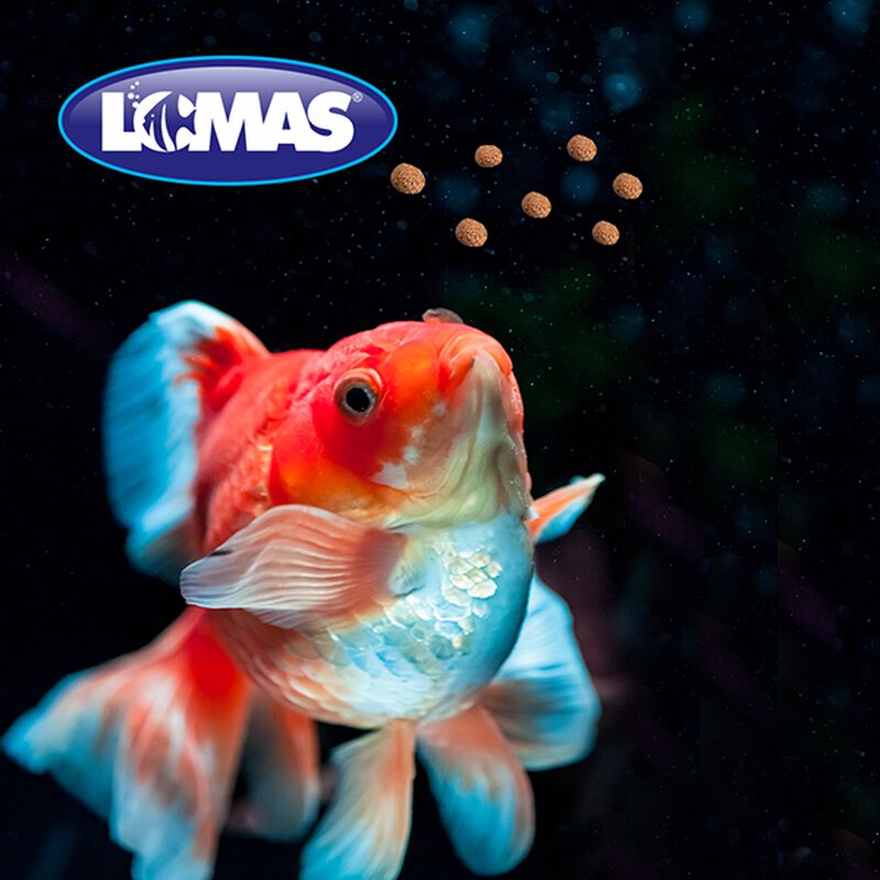 Lomas Pellets Para Pez Japones 1.5 Kg image number null