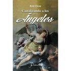 Canalizando a los &aacute;ngeles (nueva edici&oacute;n)