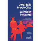 La Imagen incesante. Anatom&iacute;a de los formatos audiovisuales