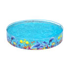 Alberca Circular Infantil De Peces Piscina Grande De 244 Cm