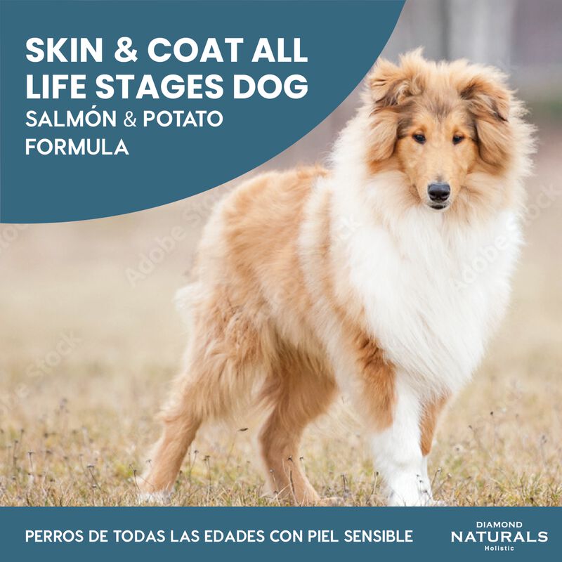 Diamond Naturals Small Breed Adult Dog Lamb & R... image number null