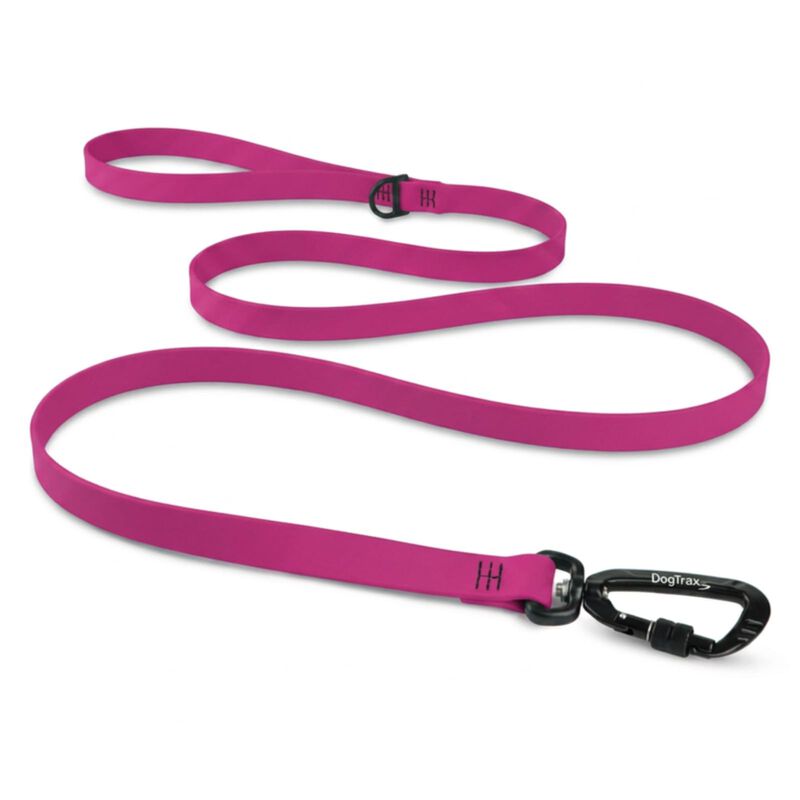 Correa Dogtraxs 1 Pulgada X 152 cm Magenta Biot... image number null