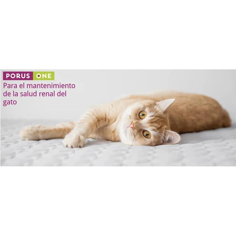 Porus one Caja con 30 sobres Linea RenalesLabor... image number null